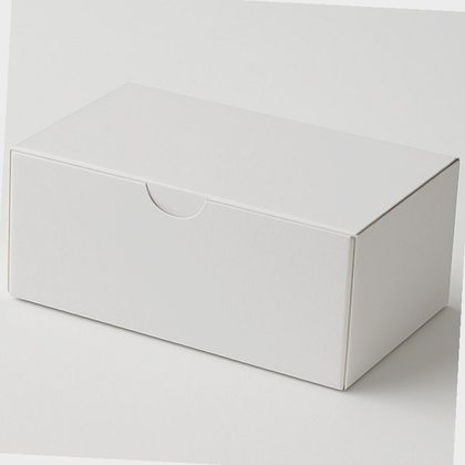 Bonomelli srl 234