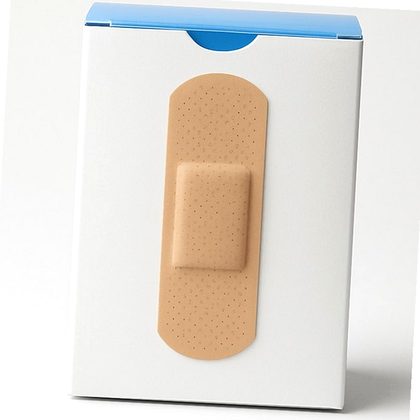 Schar fette biscottate 260g